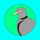 Pidgeons on the Chain