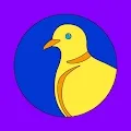 Pidgeons on the Chain