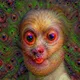 Deep Dream Portrait