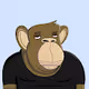 Fat Ape Rocket Club