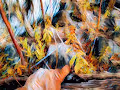 MetaWildWest - Ethereum Emporium of Fine Art