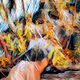 MetaWildWest - Ethereum Emporium of Fine Art