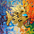 Bored Rainbow Fish