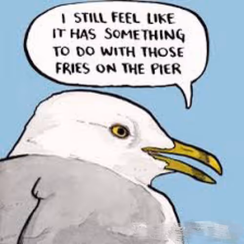 sea gull test