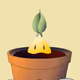Baby Sprouts! on Poly