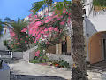 Paradise Greece [Poly]