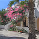 Paradise Greece [Poly]