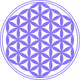 Digital Wallet Protector INITIAL