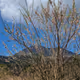 nature6