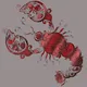 Weird Crustaceans