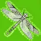 DragonFly NFT