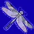 DragonFly NFT