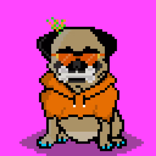 Ashy the pug #158