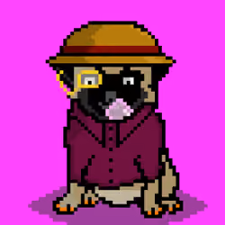 Ashy the pug #8192