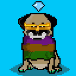 Ashy the pug #8195