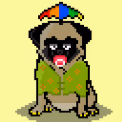 Ashy the pug #8194