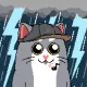 Liberty Cats