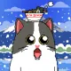 Liberty Cats