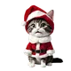 Moving Christmas Cat