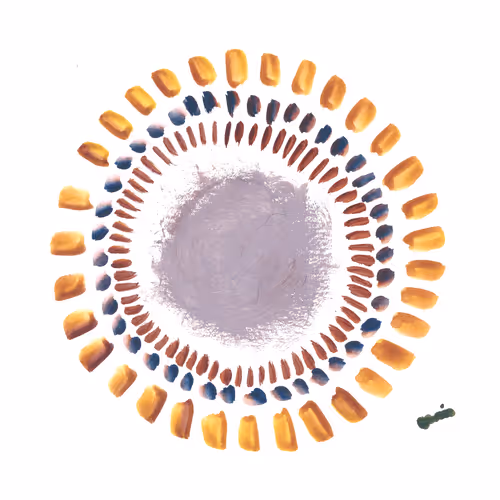 Its Okay to be Here.