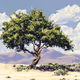 Resilience Through Time: The Seasons of Life