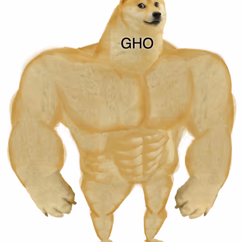 stani.lens-Collect-1345