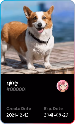 qing V2
