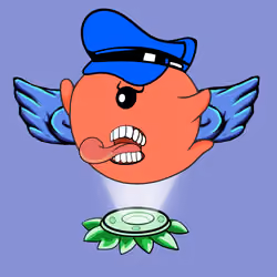 204