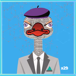 special ostrich x29