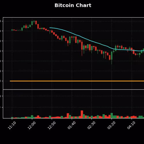 kingjunaid12.lens-Collect-2749