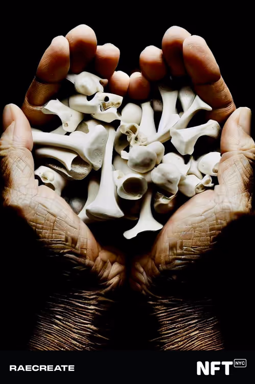 Item #672746632049154918814056453 Media