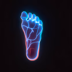 NFeeT #49