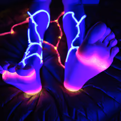 NFeeT #15