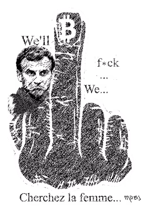 Item #703307617 Media