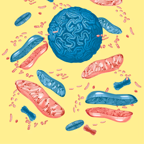 Microlandscape I