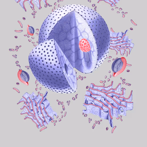 Microlandscape III