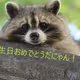 Birthday Racoon