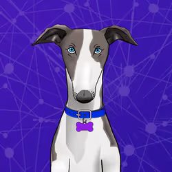 Unnamed Whippet