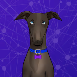 Unnamed Whippet