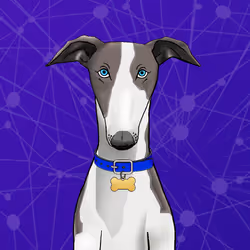 Unnamed Whippet