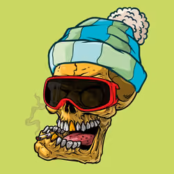 CrazySkull #33