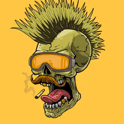 CrazySkull #423