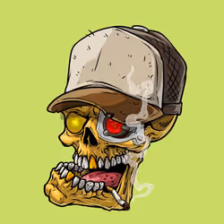 CrazySkull #777