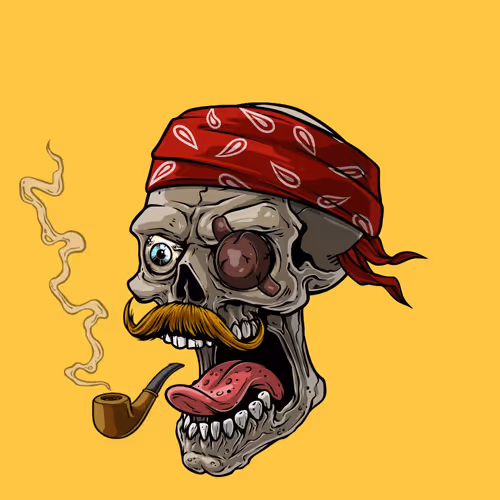 CrazySkull #1313