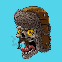 CrazySkull #1446