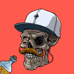 CrazySkull #29