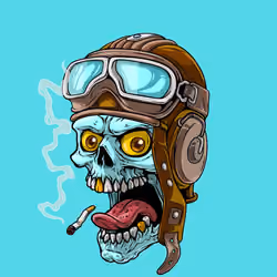 CrazySkull #1293