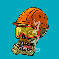 CrazySkull #350