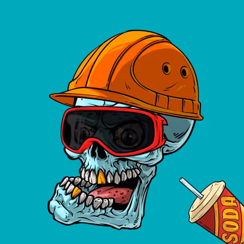 CrazySkull #1199