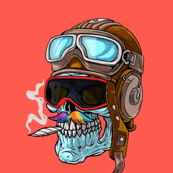 CrazySkull #864